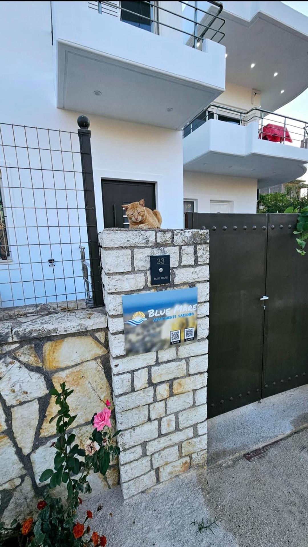 Blue Mare Apartments Sarandë 外观 照片