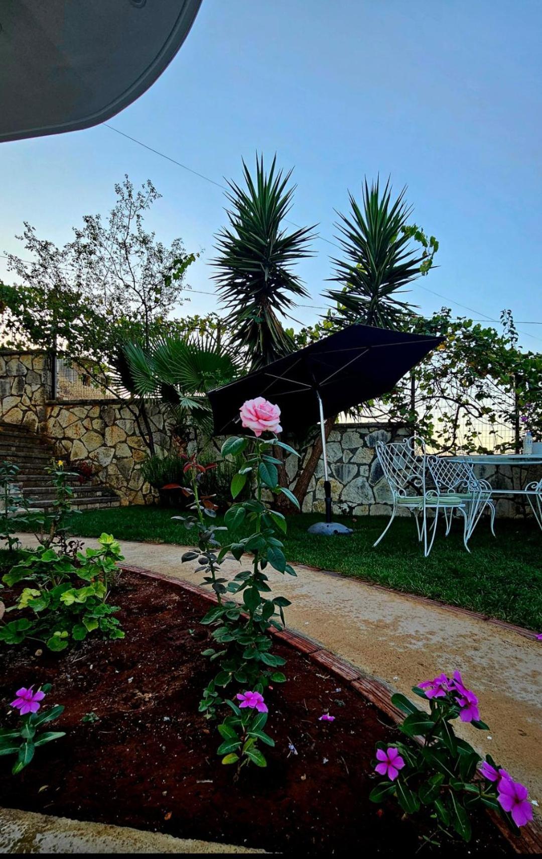 Blue Mare Apartments Sarandë 外观 照片